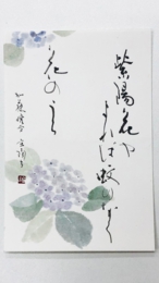 布目2.JPG